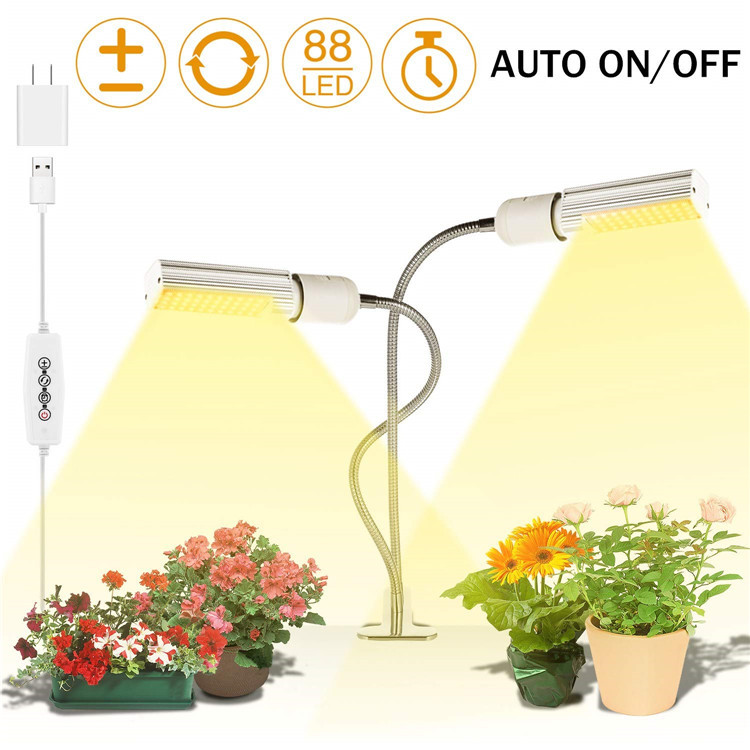 71rEYJogZoL._SL1500_