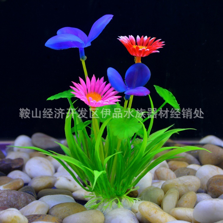 O1CN01vkK41f1KVtvvKxd1o_!!1035