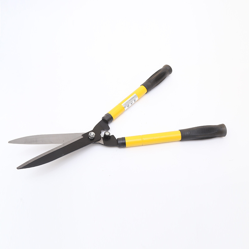 3761421695_1578675911