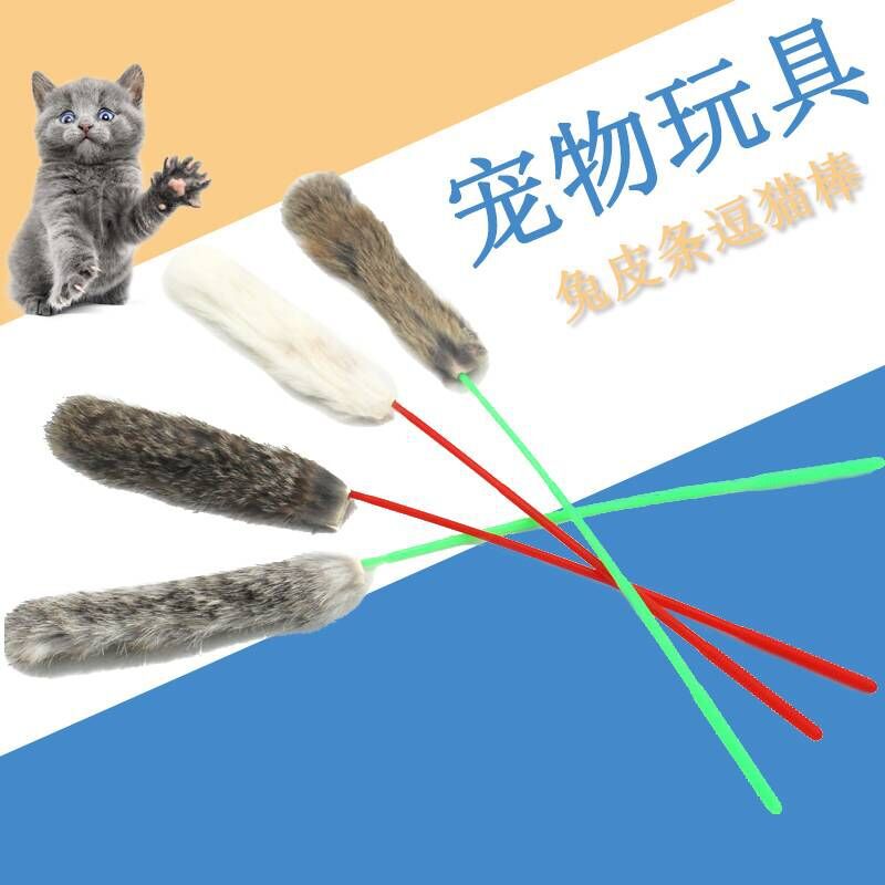 QQ图片20190301143948