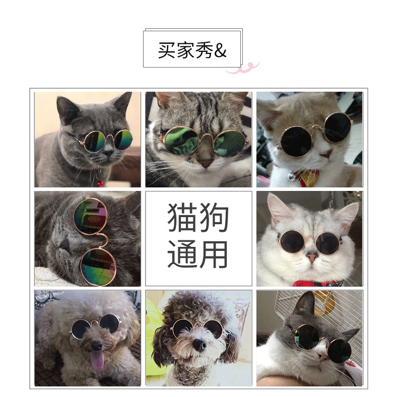 宠物眼镜详情图_12.png