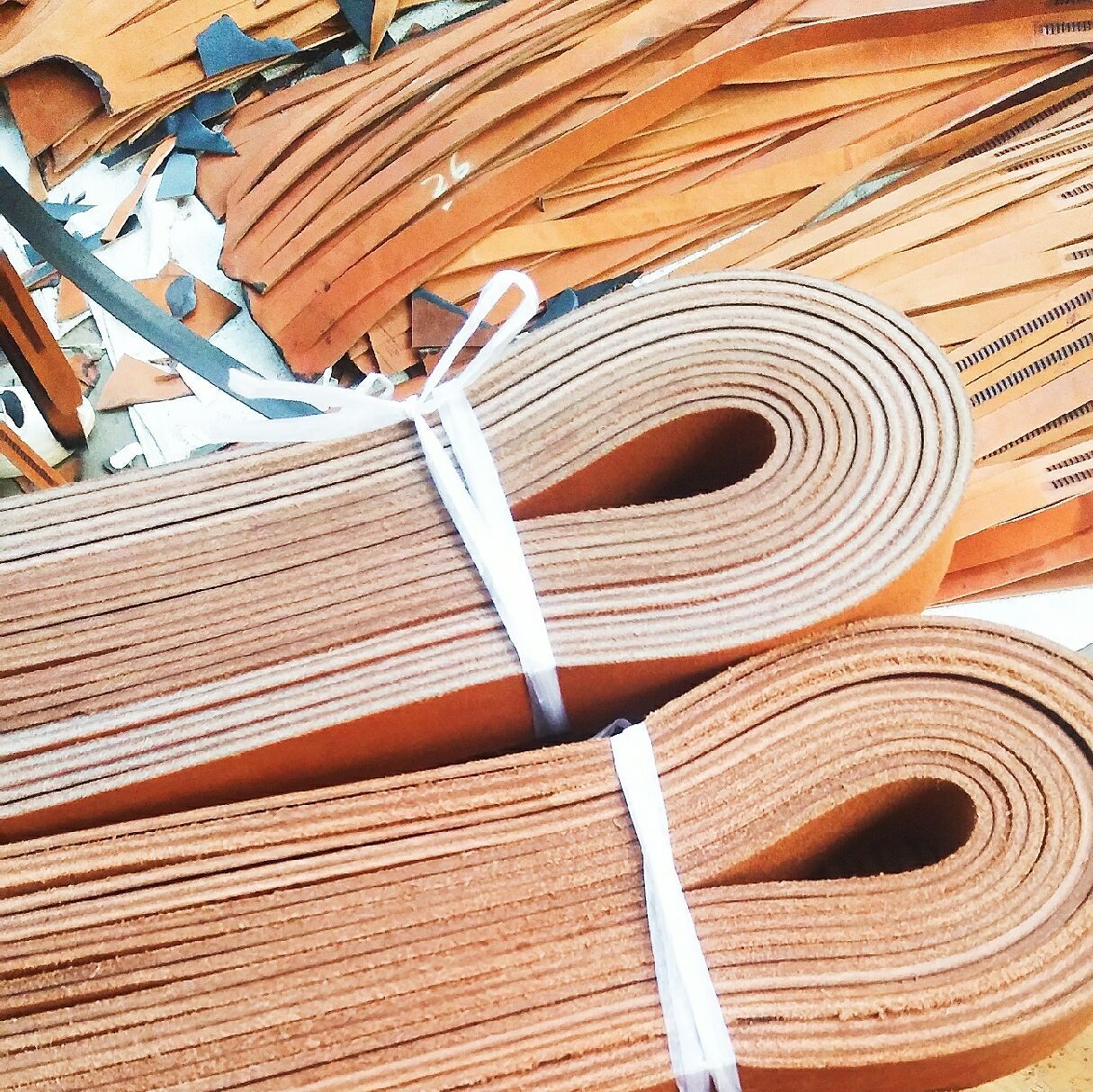 QQ图片20190310194644