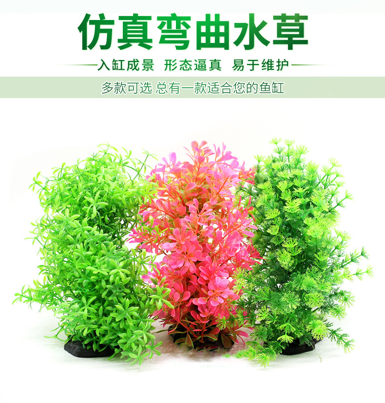 TB2PB.FGL9TBuNjy1zbXXXpepXa_!!