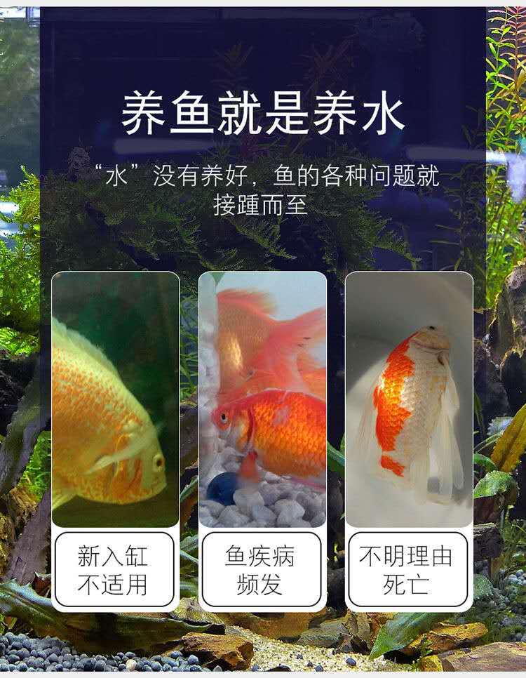 微信图片_20190628233951