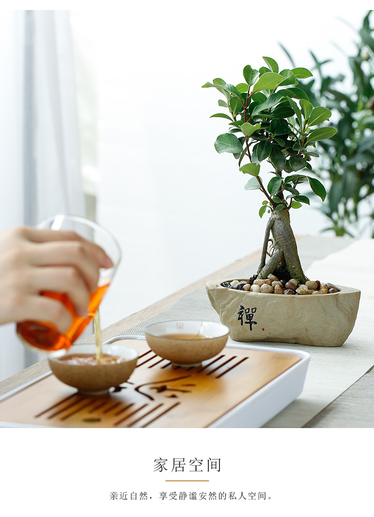 粗陶花盆_08.jpg
