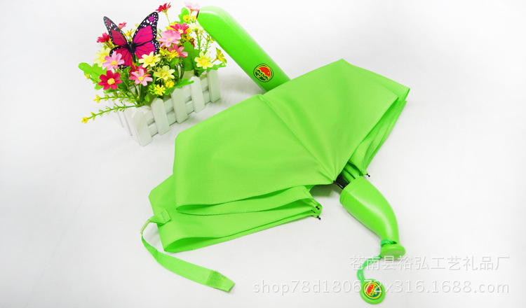 8896024788_398524934