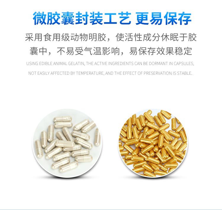 硝化细菌胶囊散装_12