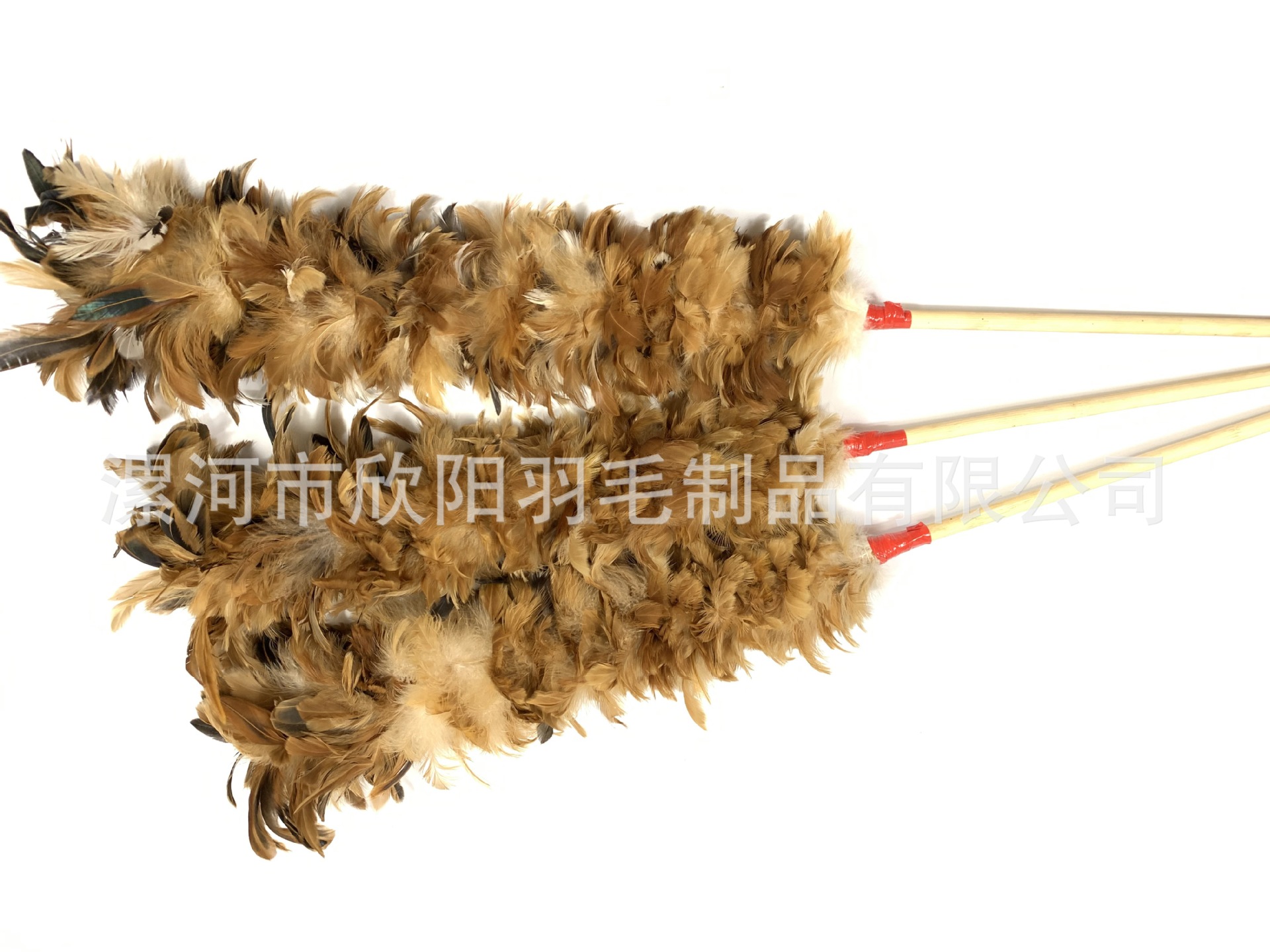 5043017743E14E90DE8D14AE42D67D