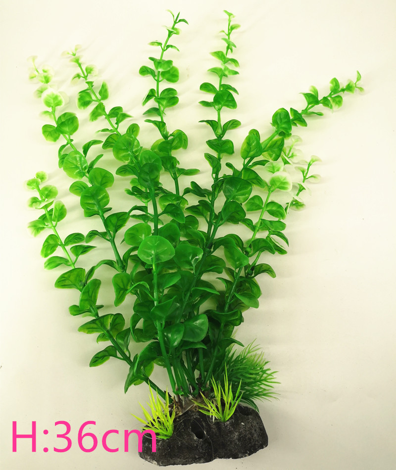 IMG_20190701_101802_副本