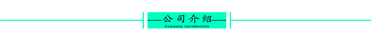 公司介绍