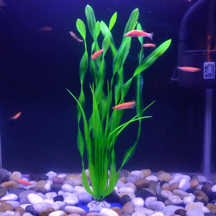 O1CN01gQ1LsW1KVtxEsokXy_!!1035