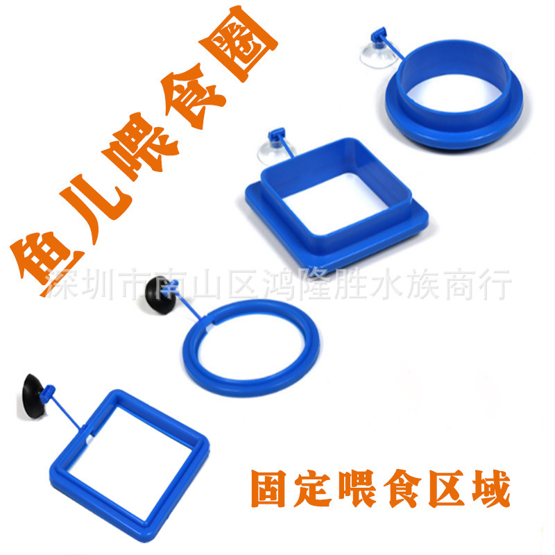 9026823970_313244345