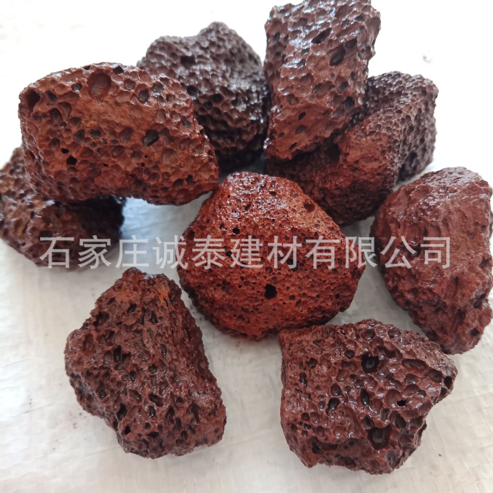 IMG20190313094233