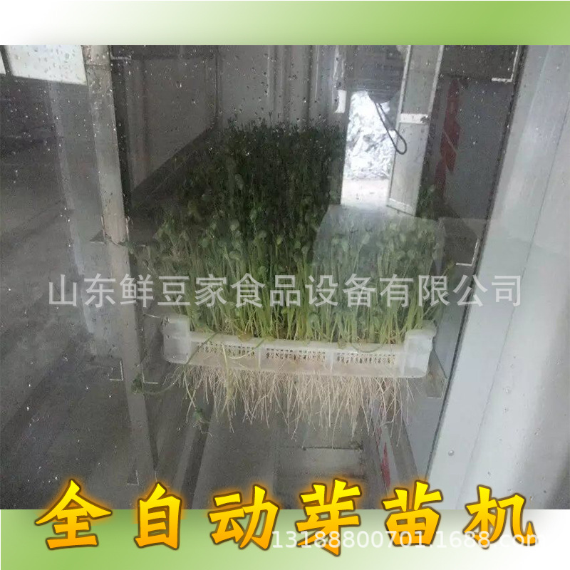 芽苗机2.jpg