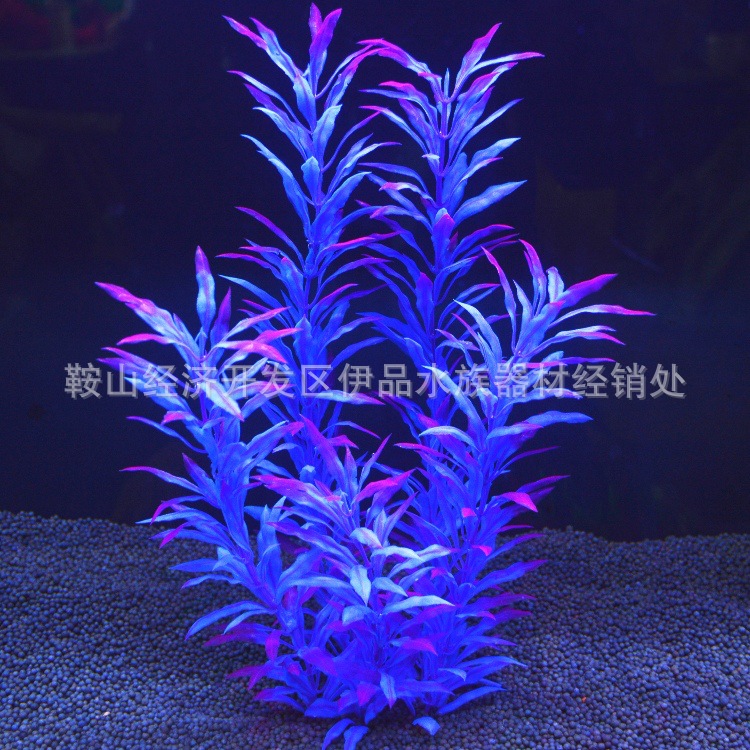 O1CN01bVIk1u1KVtxa0GEJT_!!1035