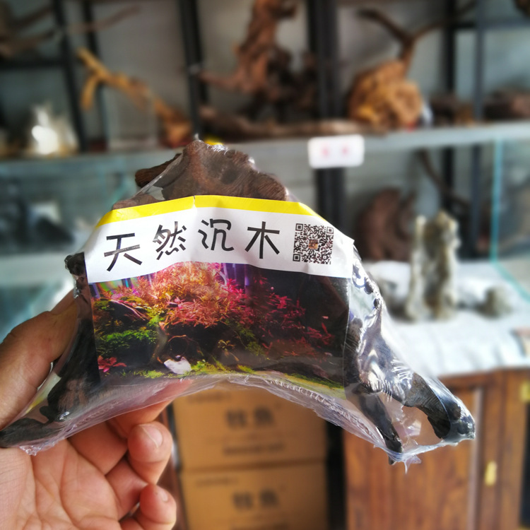 小沉木景观造景天然素材"undefined"
