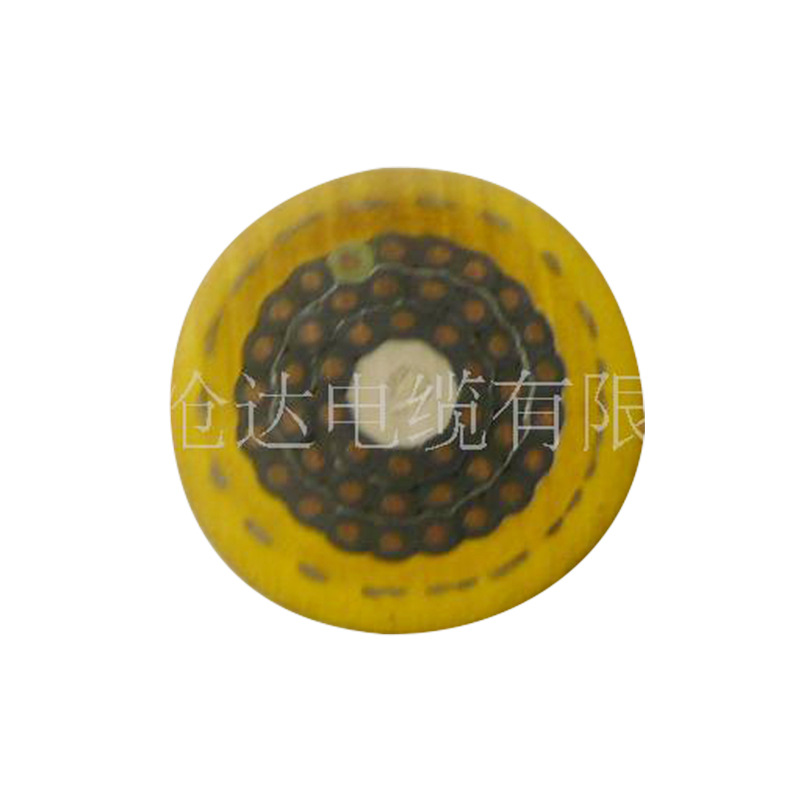 供应沧达GJTJP卷筒电缆