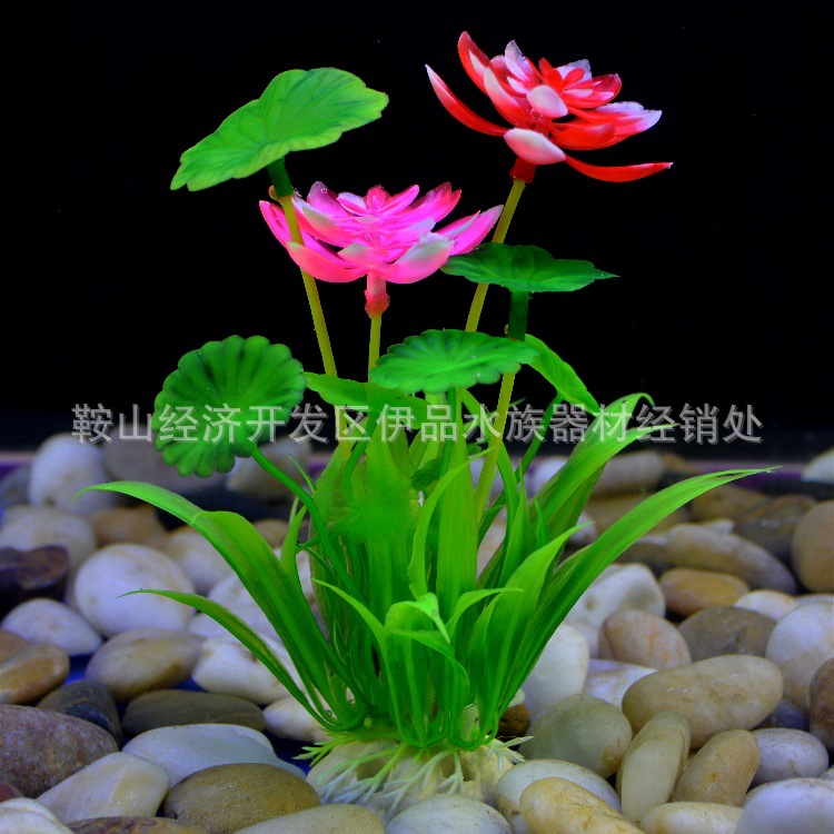 O1CN01wT67ul1KVtvwpwgCi_!!1035