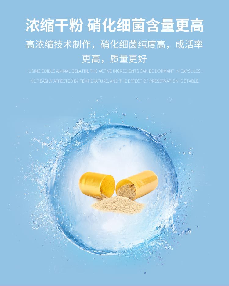 硝化细菌胶囊散装_13