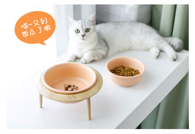 飞碟猫碗_12.jpg