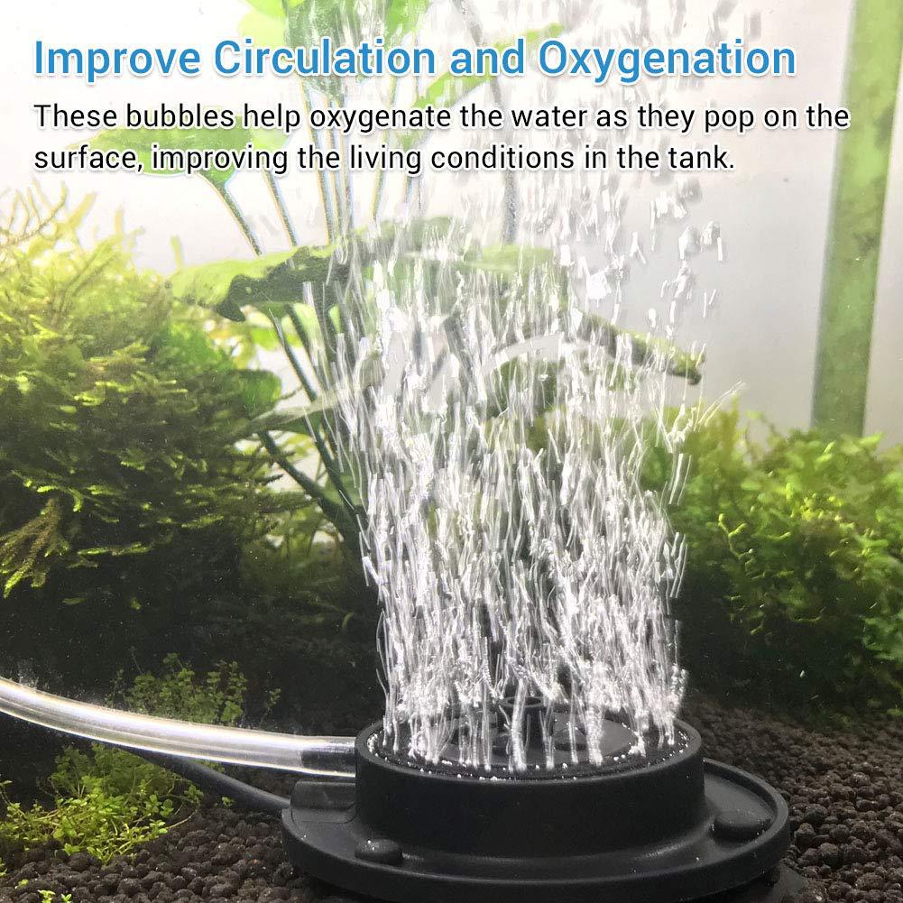 718-pTgXXEL._SL1001_