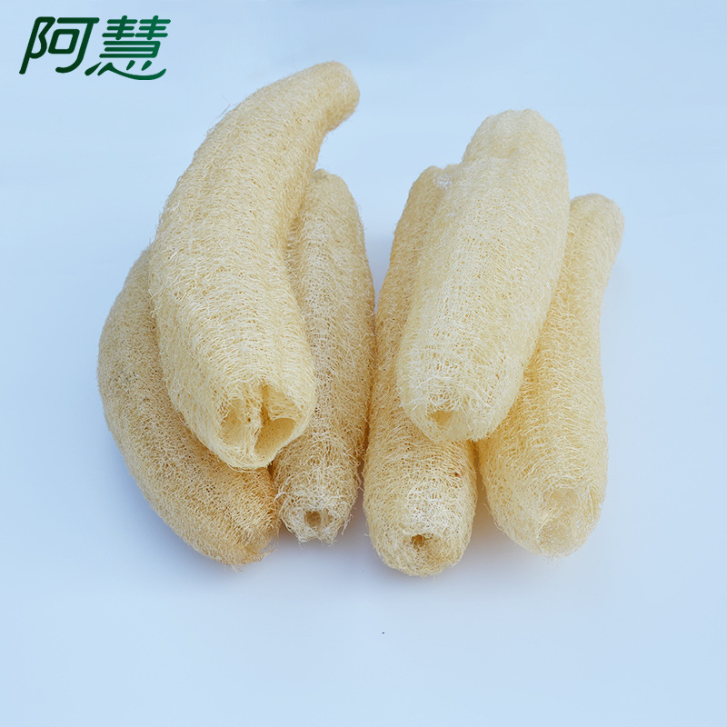 小丝瓜-6.jpg