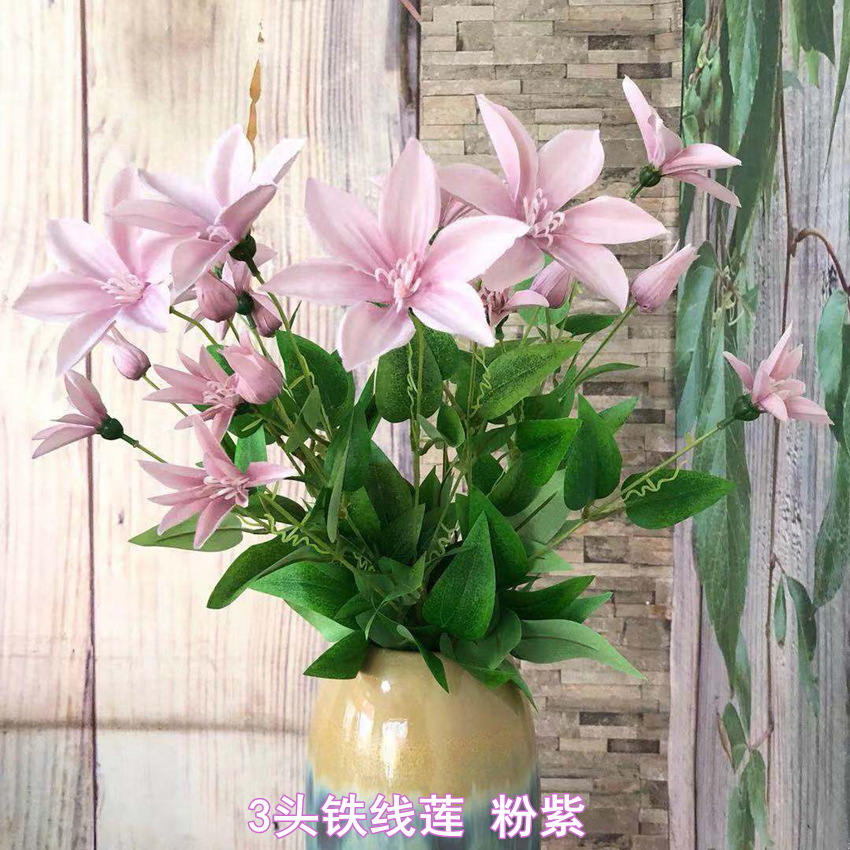 微信图片_20190224144859