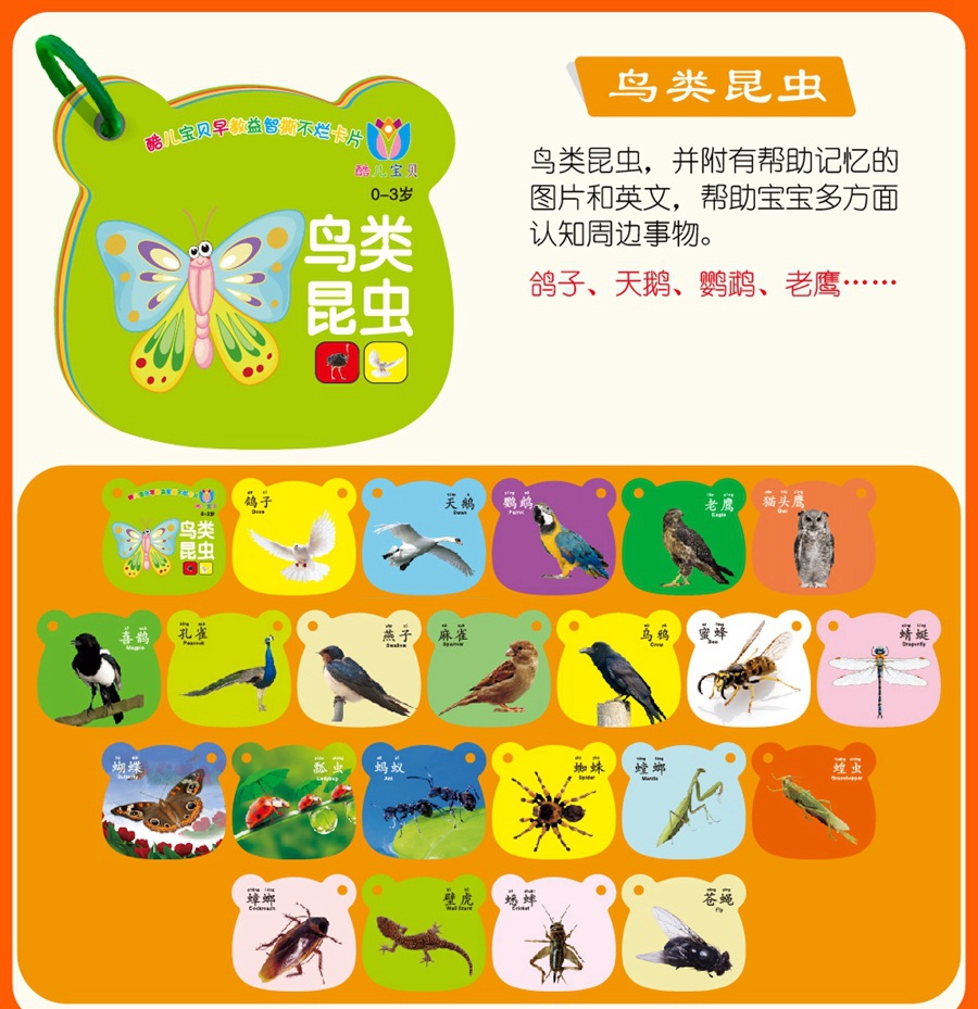 鸟类昆虫-01.jpg
