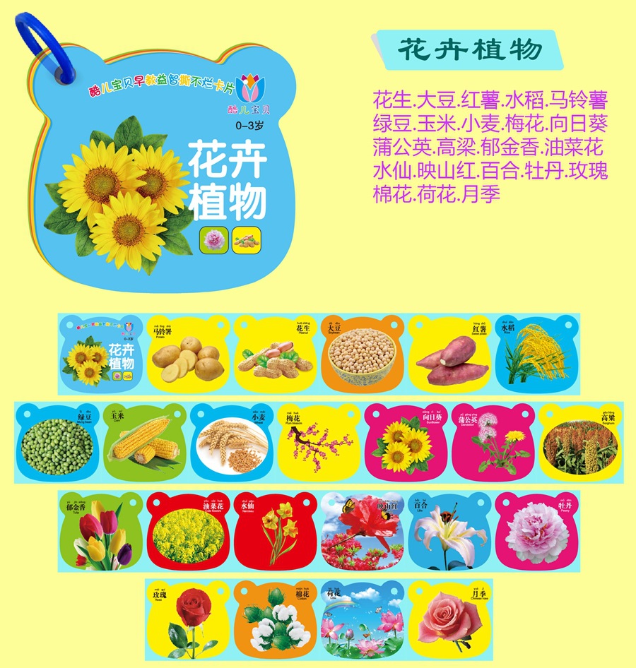 花卉植物.jpg