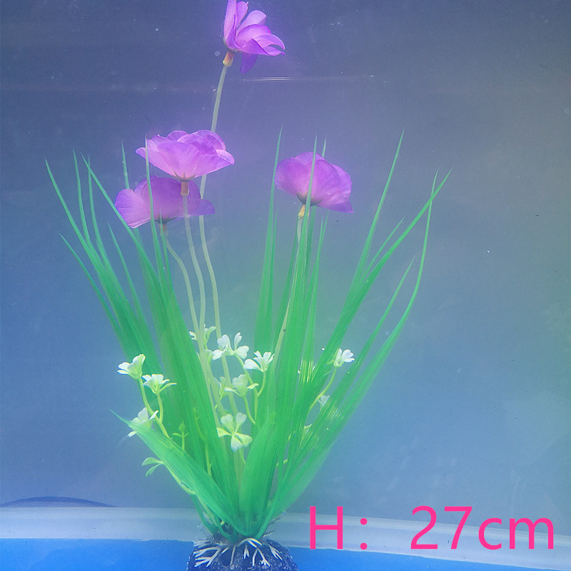 IMG_20190701_093311_副本