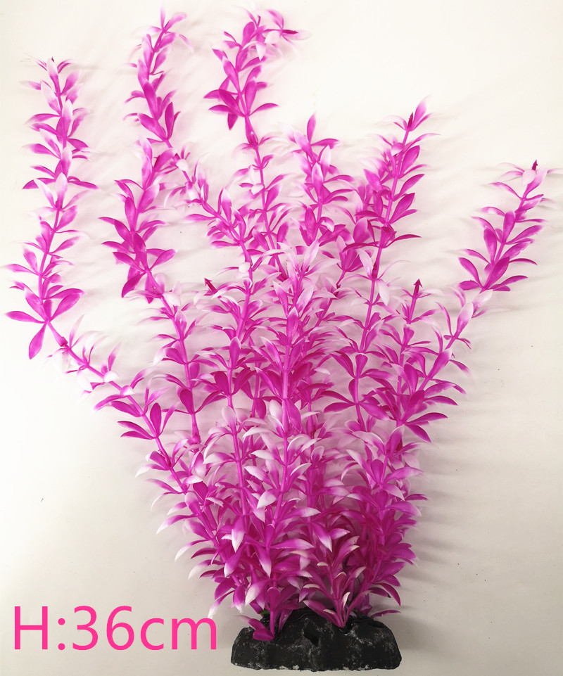 IMG_20190701_102053_副本