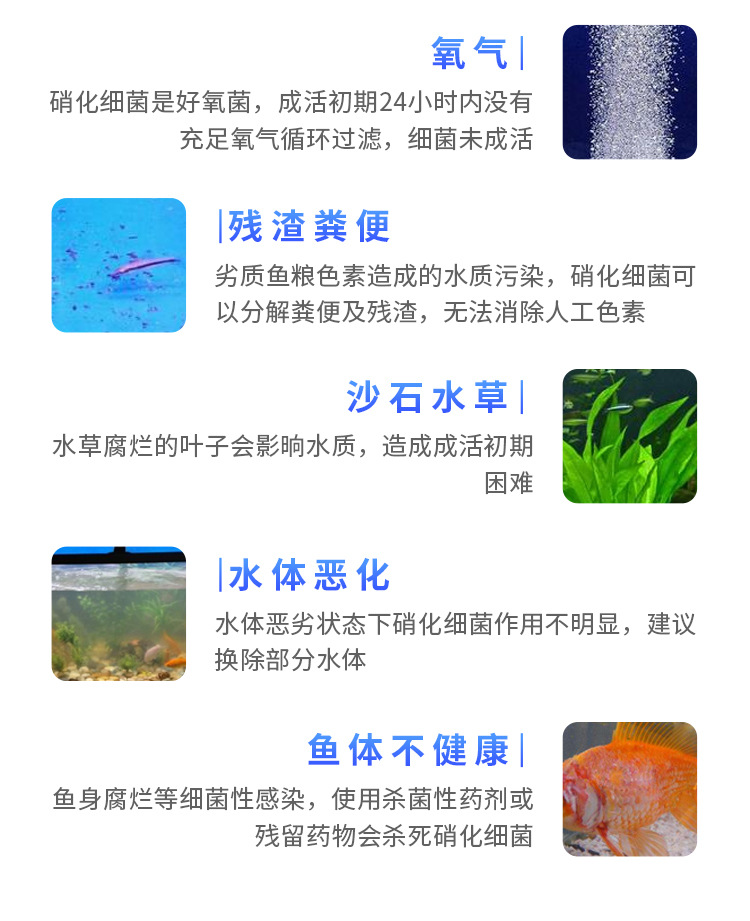 硝化细菌胶囊1_19