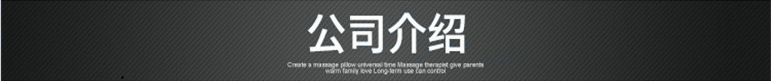 公司介绍1
