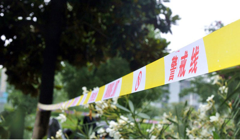 9152687558_1318610283