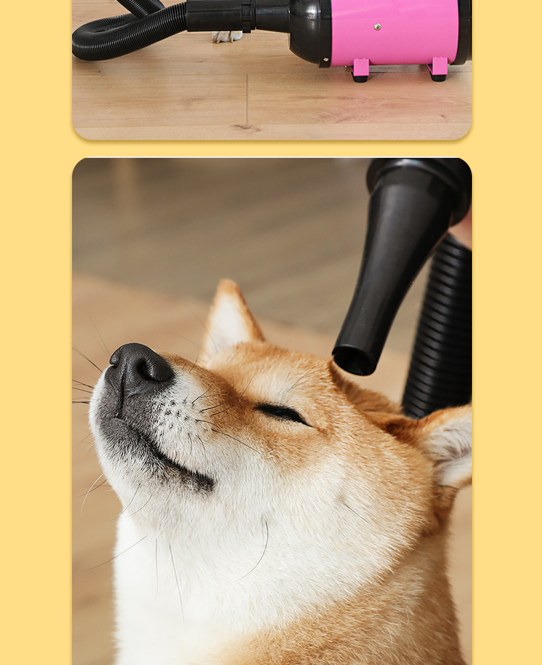 未标题-3-恢复的_19.png