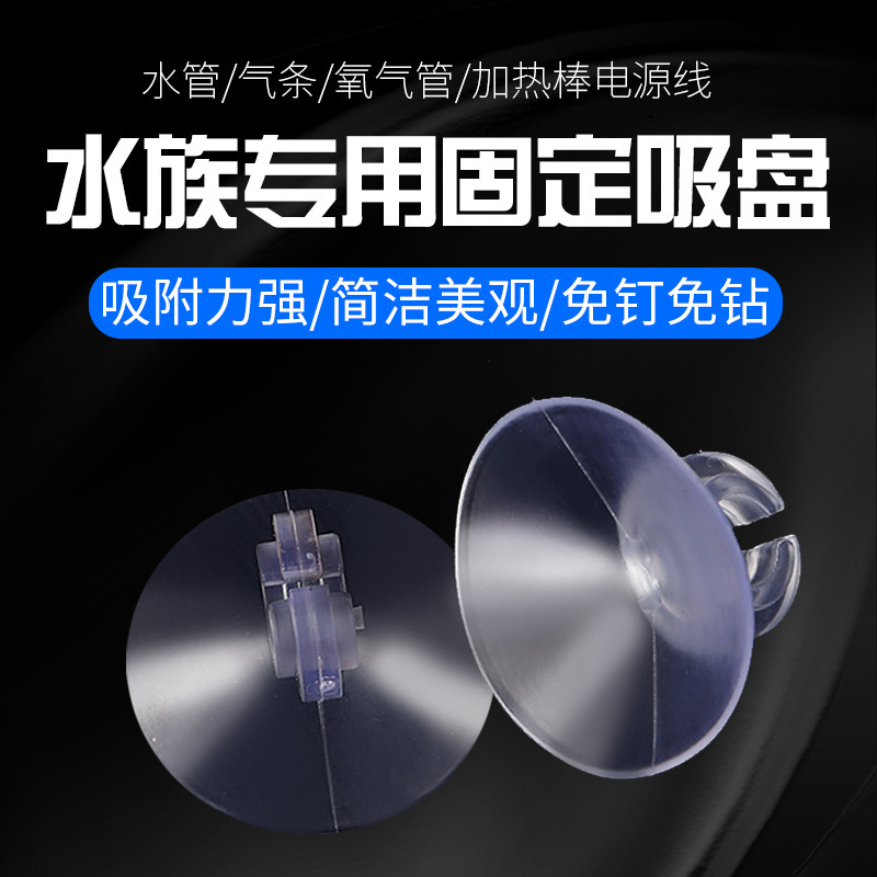 10591011289_1916645187