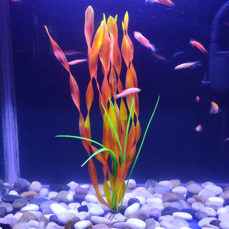 O1CN013iUMnk1KVtxCOEtnf_!!1035