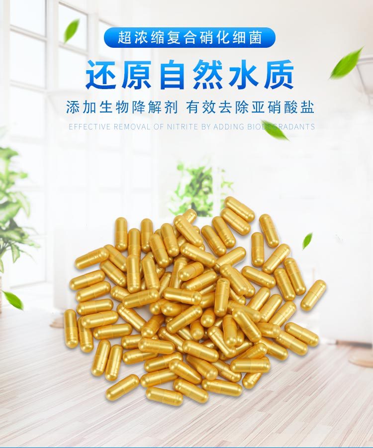 硝化细菌胶囊散装_01