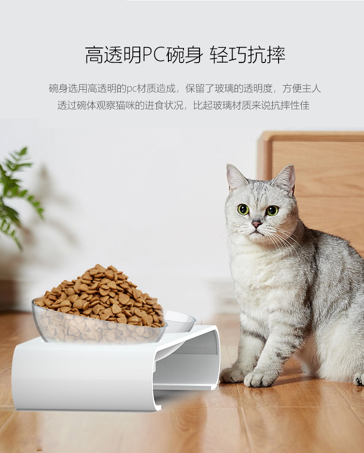 猫碗_13.jpg