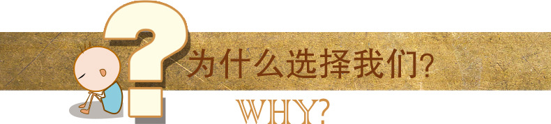 为什么选择我们 标题.jpg