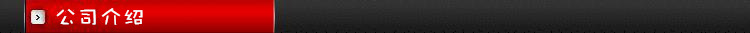 公司介绍