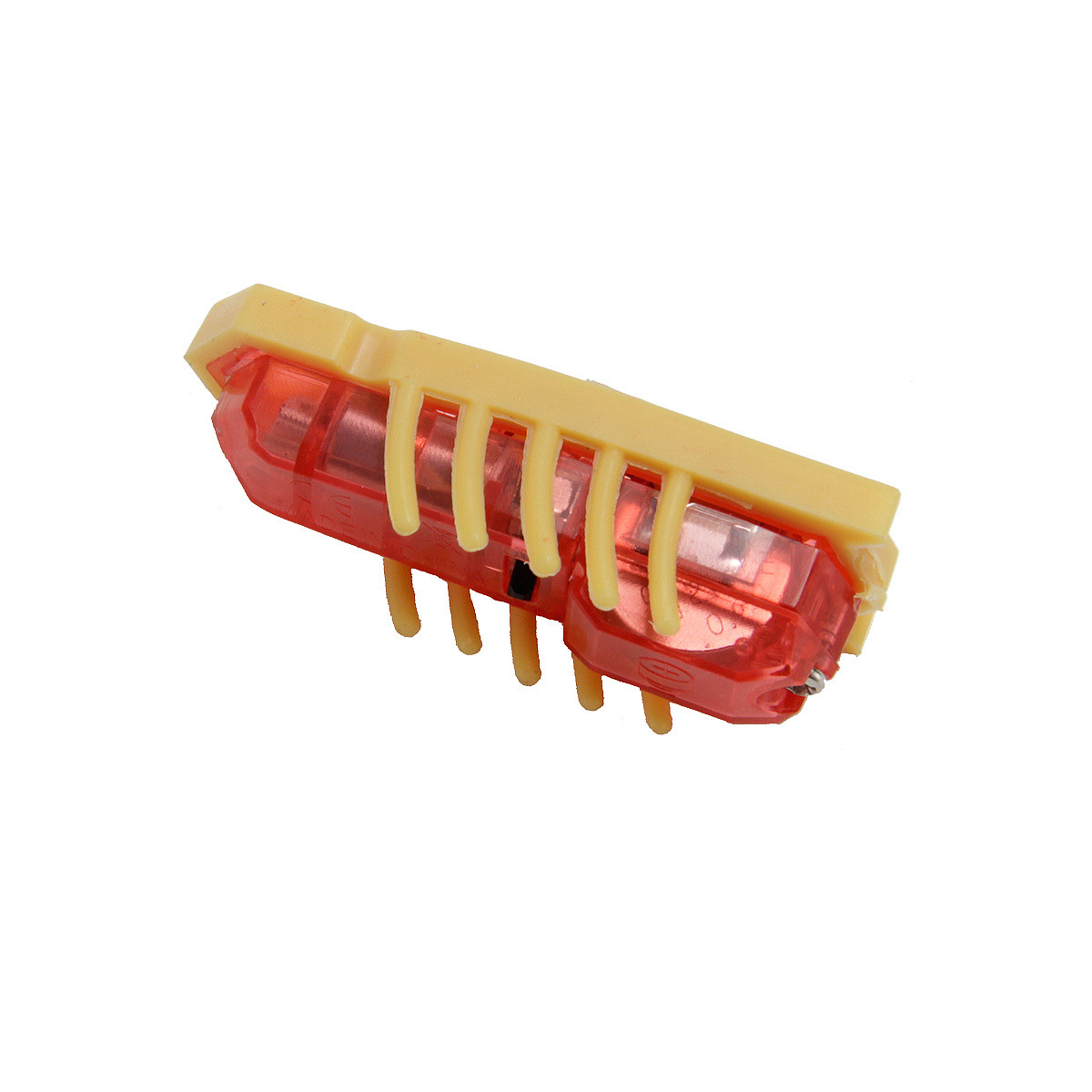 电动牙刷虫 (24).jpg