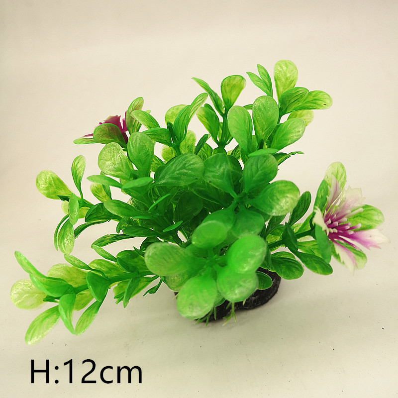 IMG_20190701_110244_副本