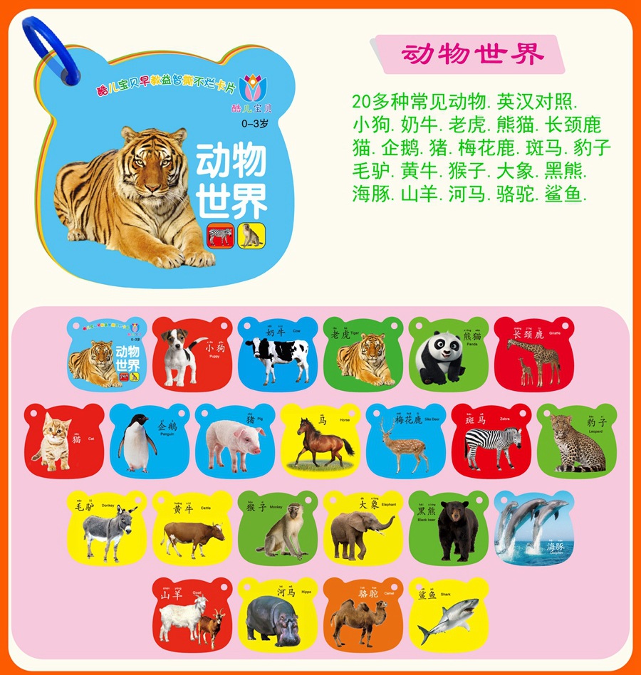 动物世界.jpg