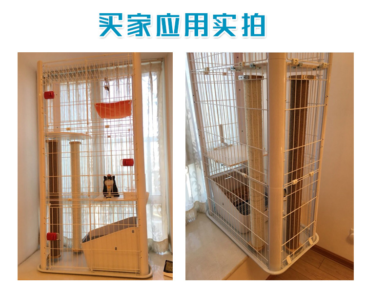 详情12.jpg
