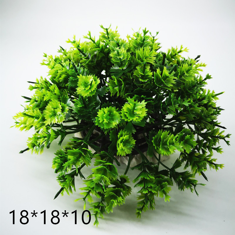 IMG_20190528_144044_副本