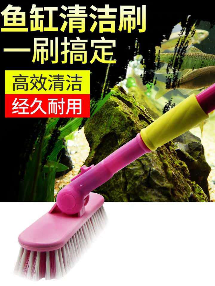 3b09ea1004aacfc75c365b28da8401