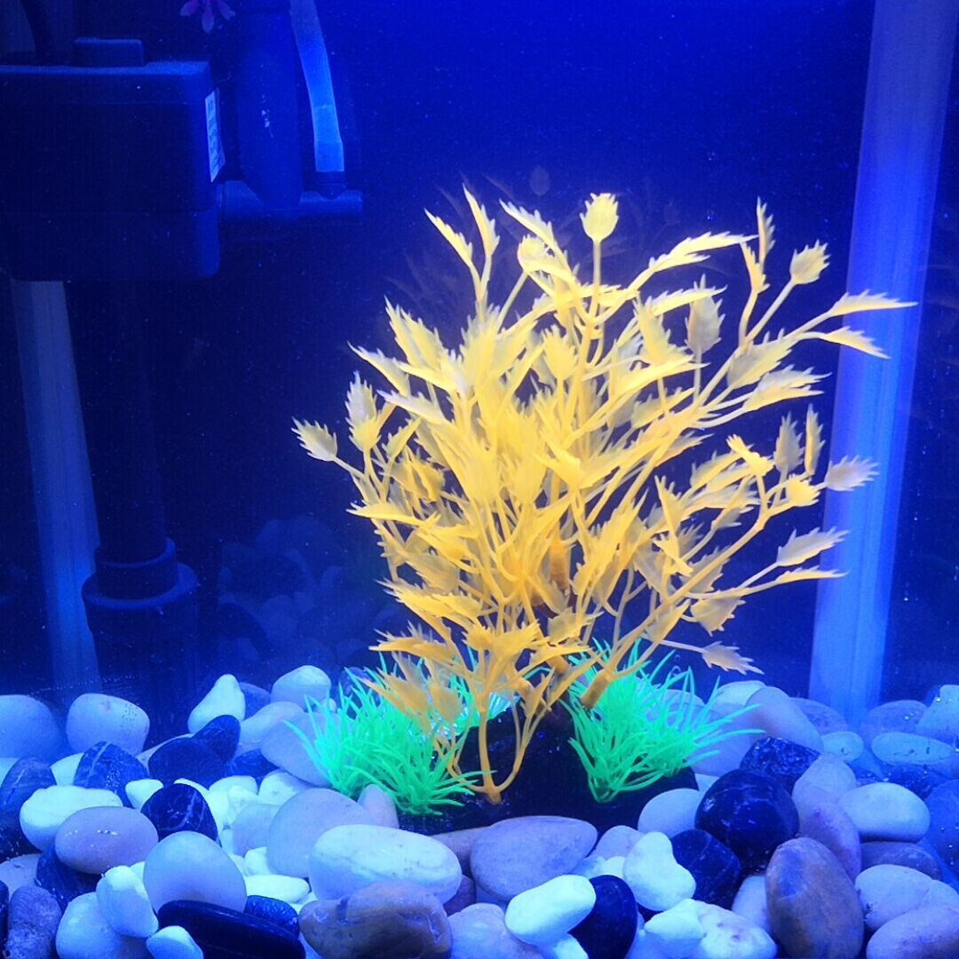 QQ图片20190703191914