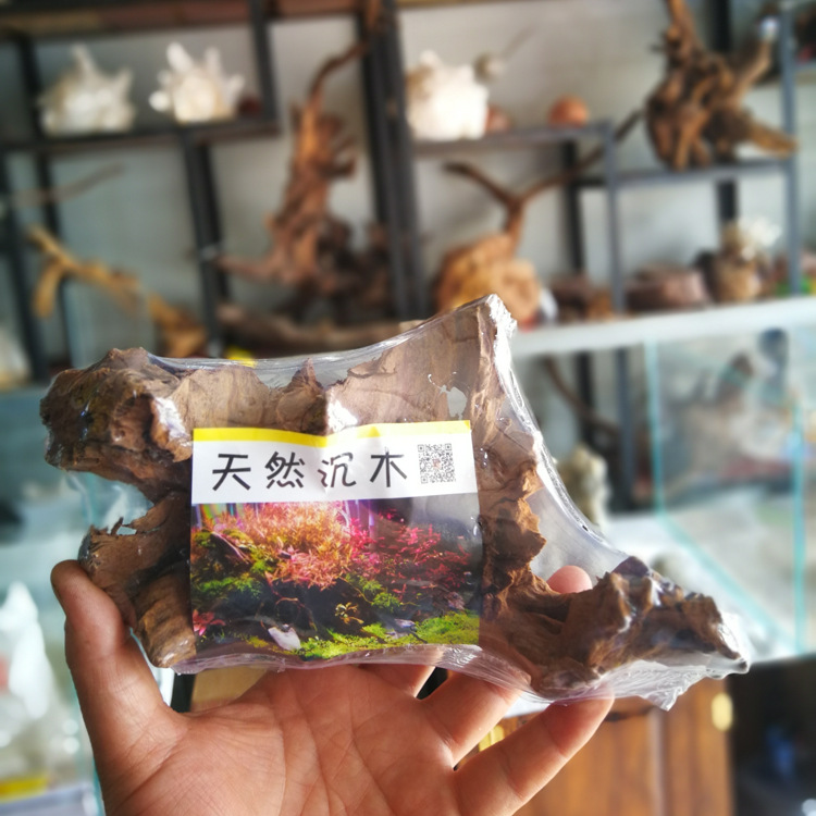 小沉木景观造景天然素材undefined