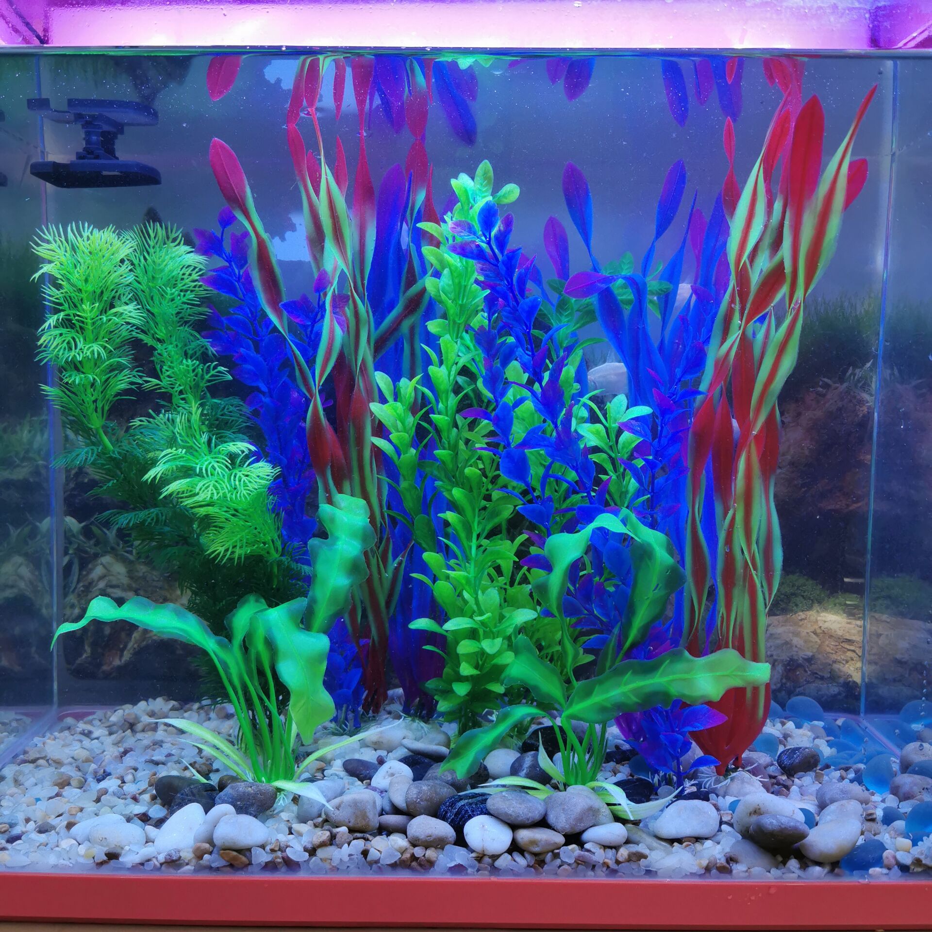 QQ图片20190723101014